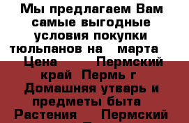 Мы предлагаем Вам самые выгодные условия покупки тюльпанов на 8 марта.  › Цена ­ 50 - Пермский край, Пермь г. Домашняя утварь и предметы быта » Растения   . Пермский край,Пермь г.
